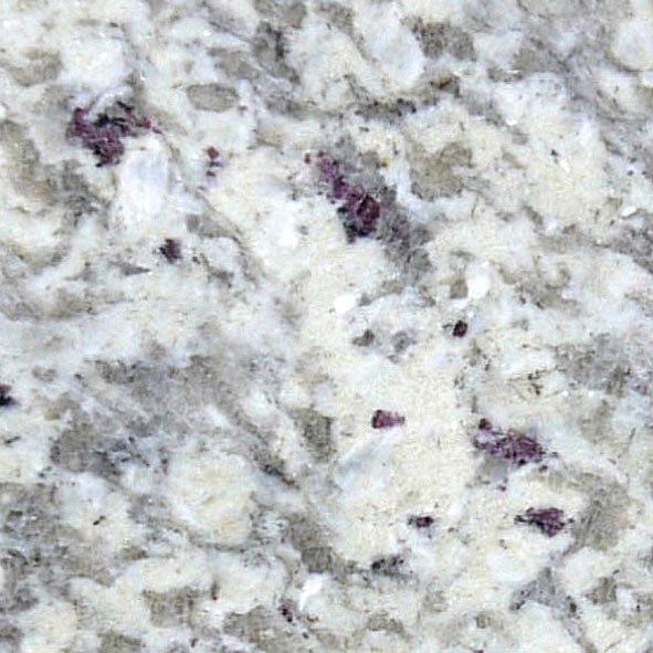 Ambrosia White