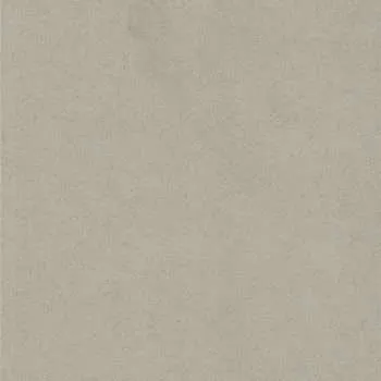 Beluga