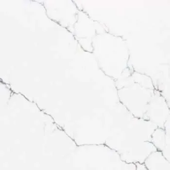 Carrara Venatino