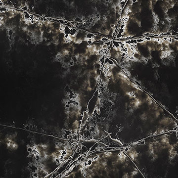 Ice Black