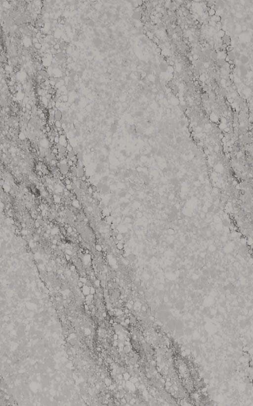 Pacific Grey