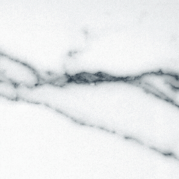 Eternal White