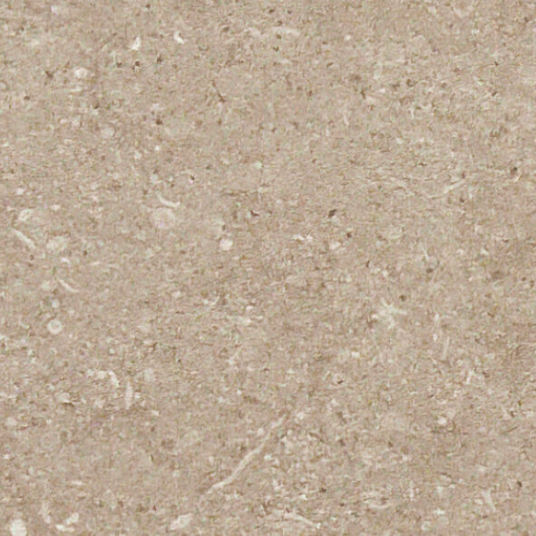 Fossil Ivory Matte