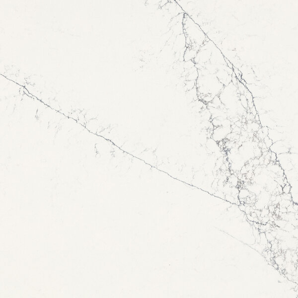 Ocean Arctic