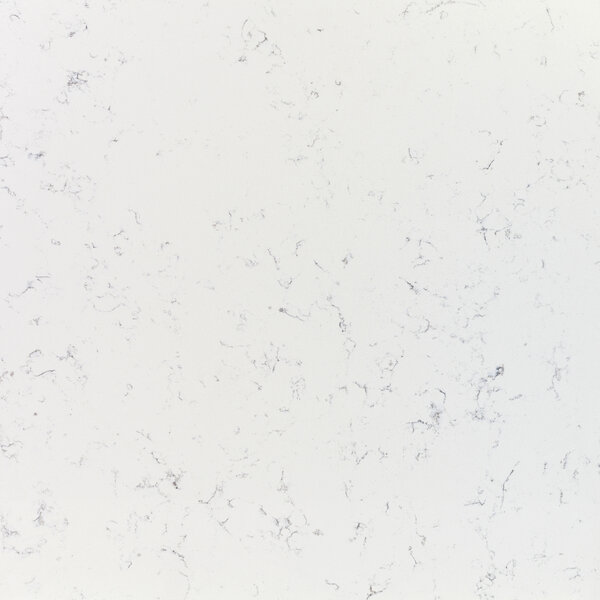 Veined Bernini