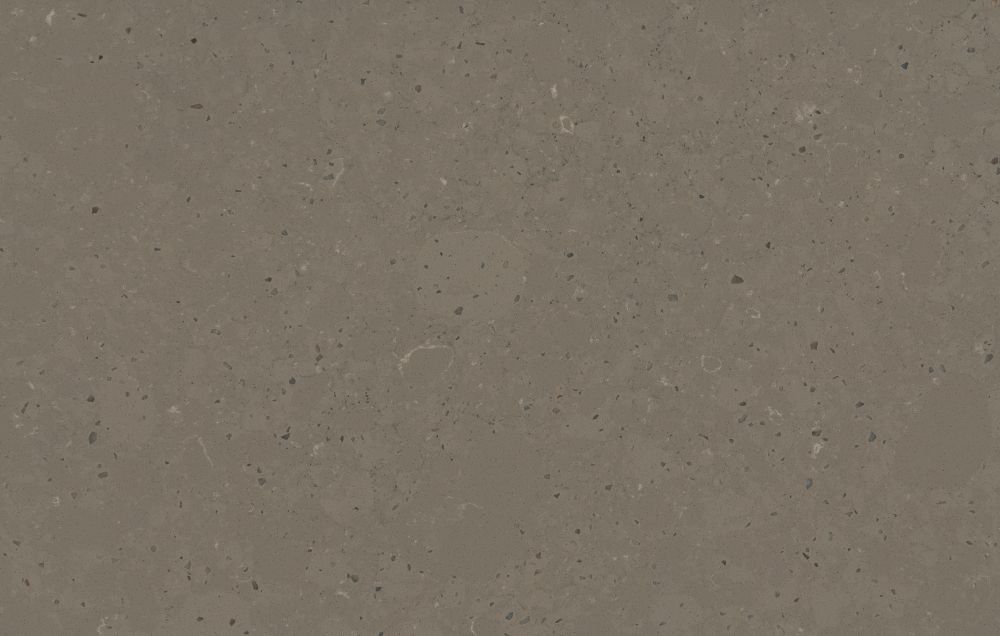 Brass Relish Suede