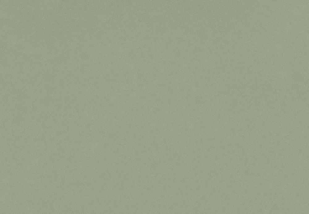 Posidonia Green Suede