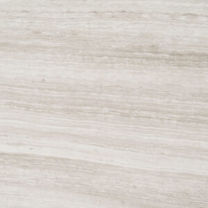 Silk Georgette