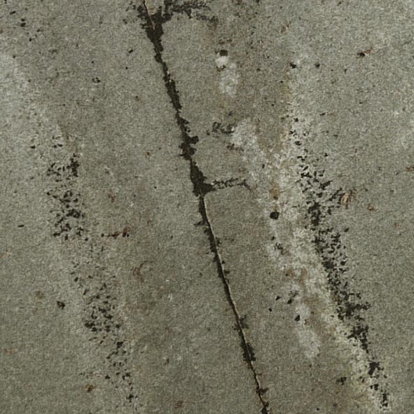 Turtle Shell Quartzite